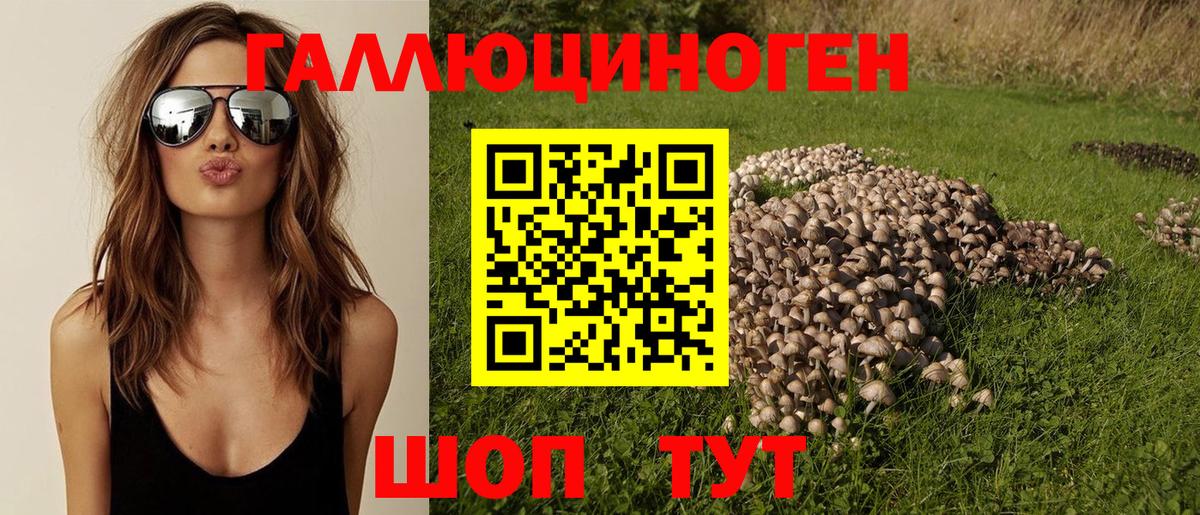 Арзамас  Псилоцибиновые грибы Psilocybine cubensis  Вход с VPN 